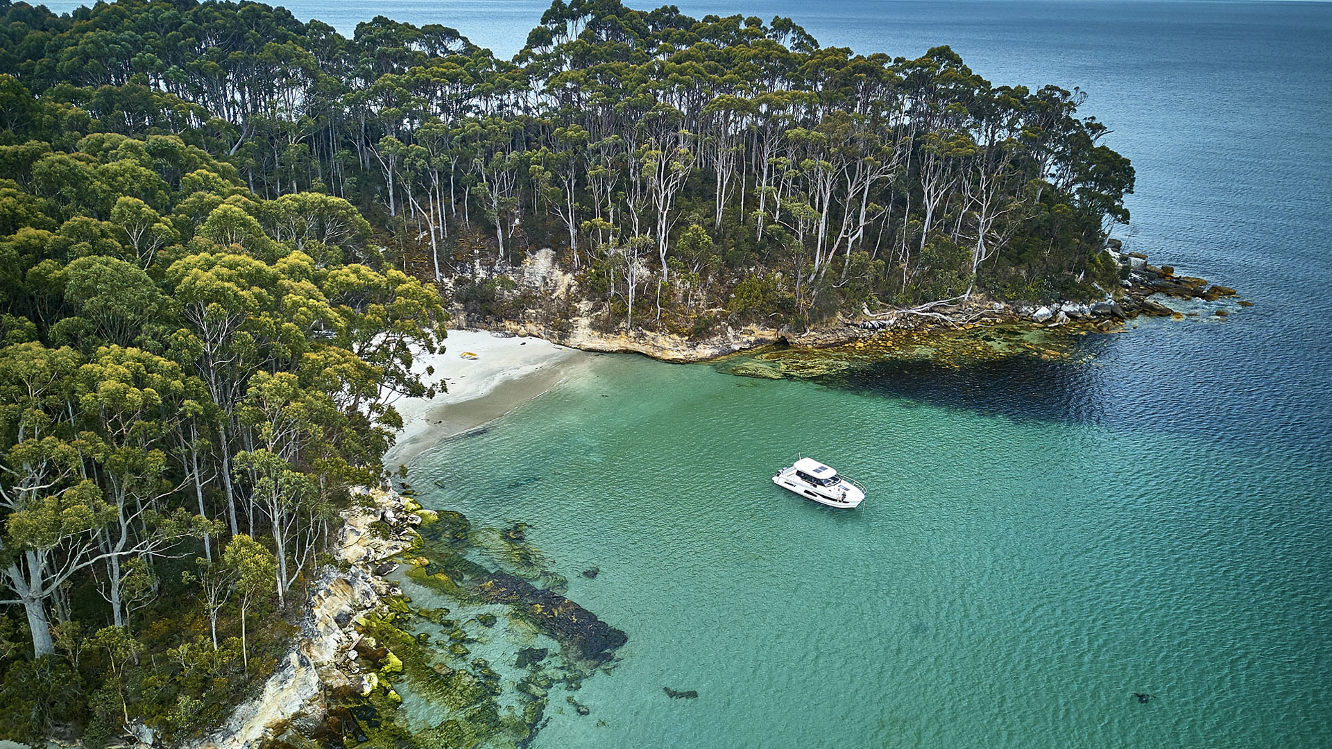 Arno Marine. Segui la scia!